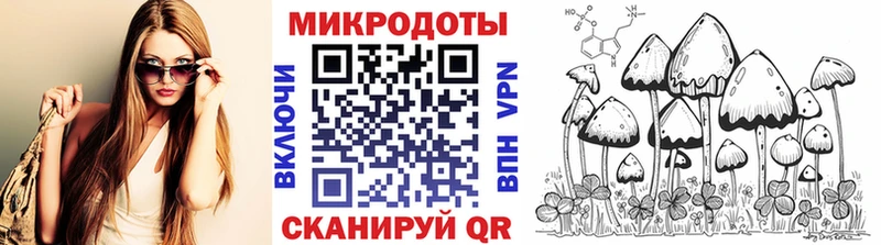 Купить где  Майский  Псилоцибиновые грибы Cubensis 